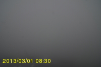 Img20130301_083025.jpg
