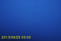 Img20130625_030044.jpg