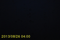 Img20130826_040025.jpg