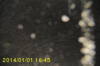 Img20140101_164512.jpg