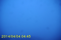 Img20140404_044525.jpg