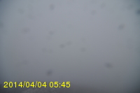 Img20140404_054525.jpg