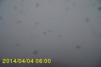 Img20140404_060025.jpg