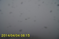 Img20140404_061525.jpg