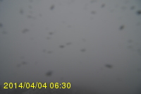 Img20140404_063025.jpg