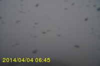 Img20140404_064525.jpg
