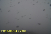 Img20140404_070025.jpg
