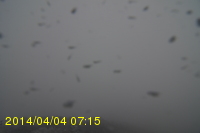 Img20140404_071525.jpg