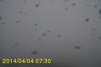 Img20140404_073025.jpg