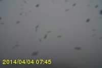 Img20140404_074525.jpg