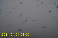 Img20140404_080025.jpg
