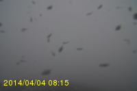 Img20140404_081525.jpg