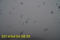 Img20140404_083025.jpg