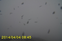 Img20140404_084525.jpg