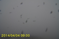Img20140404_090025.jpg