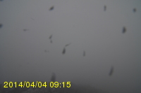 Img20140404_091525.jpg