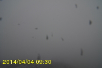 Img20140404_093025.jpg