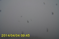 Img20140404_094525.jpg