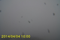 Img20140404_100025.jpg