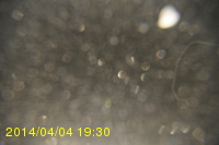 Img20140404_193026.jpg