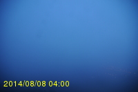 Img20140808_040005.jpg