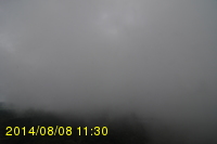 Img20140808_113005.jpg