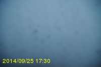 Img20140925_173030.jpg