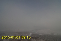 Img20150101_091517.jpg