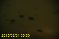 Img20150201_053027.jpg
