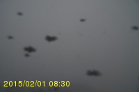 Img20150201_083027.jpg