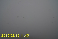 Img20150216_114508.jpg