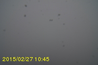 Img20150227_104506.jpg