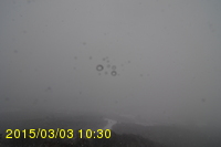 Img20150303_103012.jpg