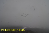 Img20150303_104512.jpg