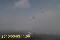 Img20150303_110012.jpg