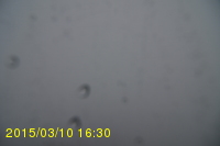 Img20150310_163019.jpg