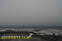 Img20150311_113029.jpg