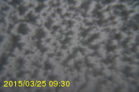 Img20150325_093025.jpg
