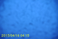 Img20150416_041514.jpg