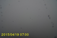 Img20150419_070017.jpg
