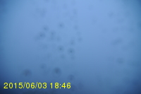 Img20150603_184604.jpg