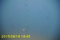 Img20150818_184532.jpg