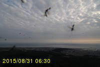 Img20150831_063020.jpg