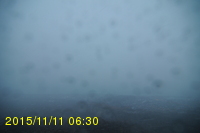 Img20151111_063057.jpg