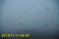 Img20151111_064557.jpg