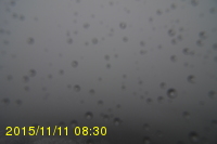 Img20151111_083058.jpg