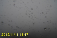 Img20151111_134731.jpg