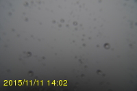 Img20151111_140231.jpg