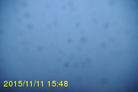 Img20151111_154842.jpg
