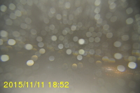 Img20151111_185226.jpg